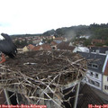 08_25-nest.jpg