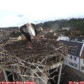 08_55-nest.jpg