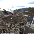 10_55-nest.jpg
