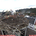 11_05-nest.jpg