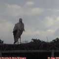 11_40-mast.jpg