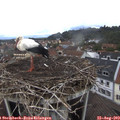 12_05-nest.jpg