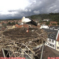 12_30-nest.jpg