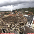 12_55-nest.jpg