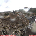 13_05-nest.jpg