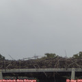 13_25-mast.jpg