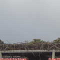 13_30-mast.jpg