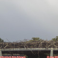 13_35-mast.jpg