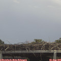 13_45-mast.jpg