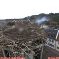 14_05-nest.jpg