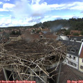 14_10-nest.jpg