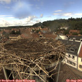 14_15-nest.jpg