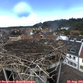 14_20-nest.jpg