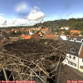14_25-nest.jpg