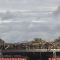 14_30-mast.jpg