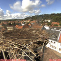 14_30-nest.jpg