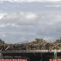 14_35-mast.jpg
