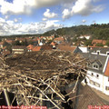 14_35-nest.jpg
