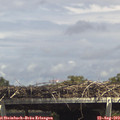 14_40-mast.jpg
