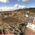 14_40-nest.jpg