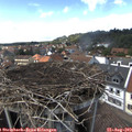 14_45-nest.jpg