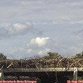 14_55-mast.jpg