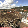 14_55-nest.jpg