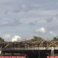 15_00-mast.jpg