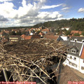 15_00-nest.jpg