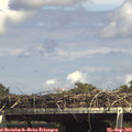 15_05-mast.jpg