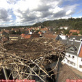 15_05-nest.jpg