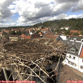 15_10-nest.jpg