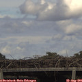 15_15-mast.jpg