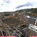 15_15-nest.jpg