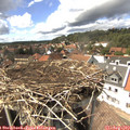 15_20-nest.jpg