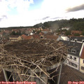 15_25-nest.jpg