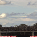 15_30-mast.jpg
