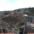 15_30-nest.jpg