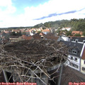 15_35-nest.jpg