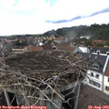 15_40-nest.jpg