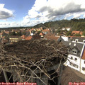 15_45-nest.jpg