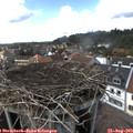 15_50-nest.jpg