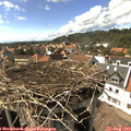 16_00-nest.jpg