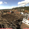16_05-nest.jpg