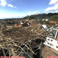 16_10-nest.jpg