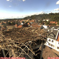 16_15-nest.jpg
