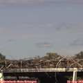 16_20-mast.jpg