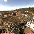16_20-nest.jpg