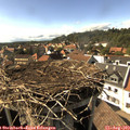 16_30-nest.jpg