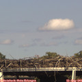 16_35-mast.jpg